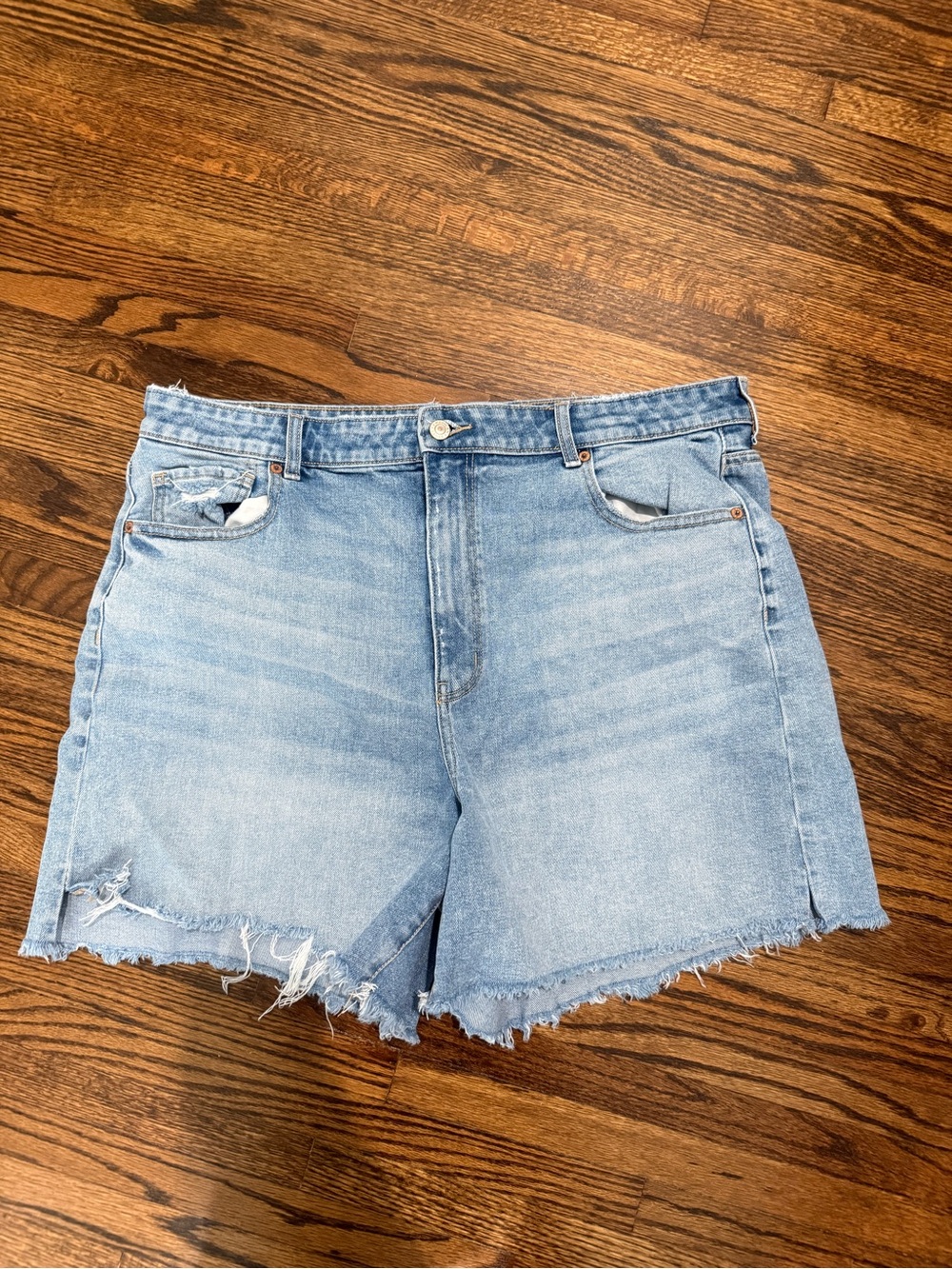 American Eagle Outfitters Light Blue Denim Cutoff Shorts